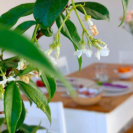 Corte Mercurio B&B ウジェント エクステリア 写真